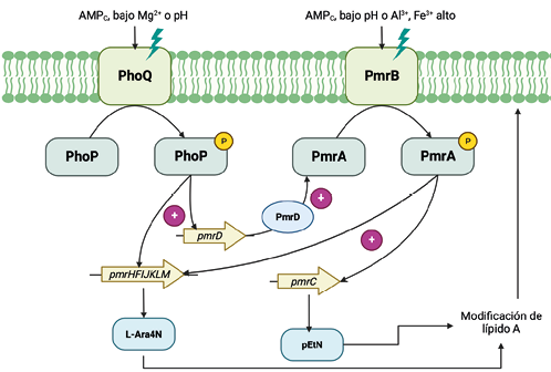 Diagram

Description automatically generated