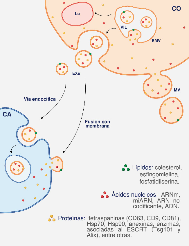 Diagrama, Esquemático

Descripción generada automáticamente
