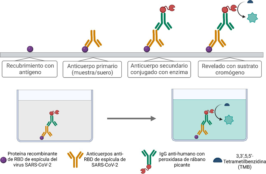 Interfaz de usuario gráfica, Diagrama, Aplicación

Descripción generada automáticamente